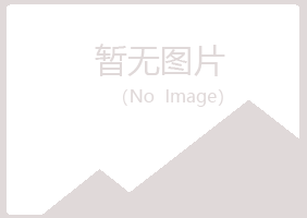 韩城沛文会计有限公司